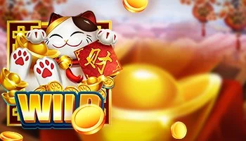 Dragon Soft Terlengkap